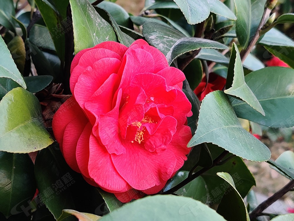 1614149969570810.jpg 0-huatu-2021-2.jpg